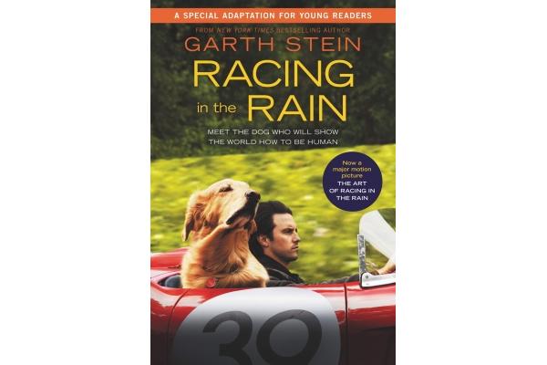 the art of racing in the rain book vs movie