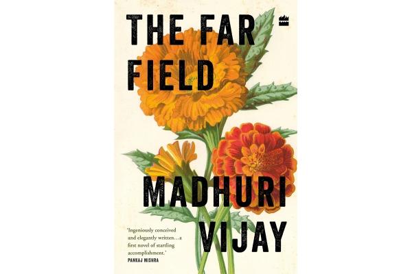 the far field book review