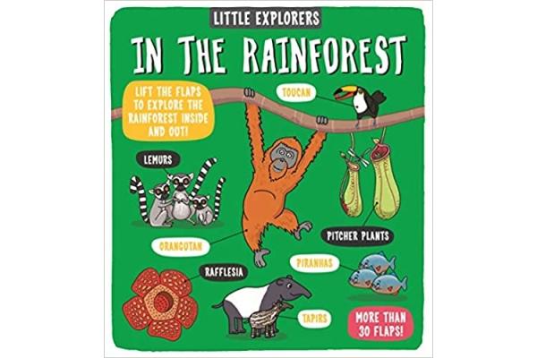 Little Explorers: In the Rainforest