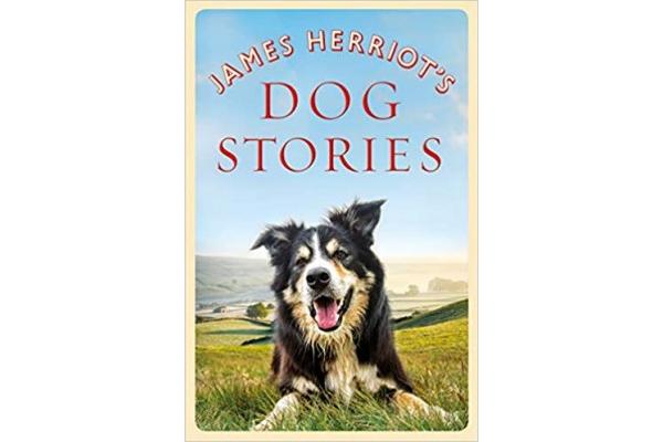 Dog Stories