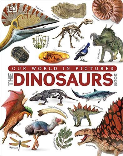 Our World in Pictures : The Dinosaurs Book