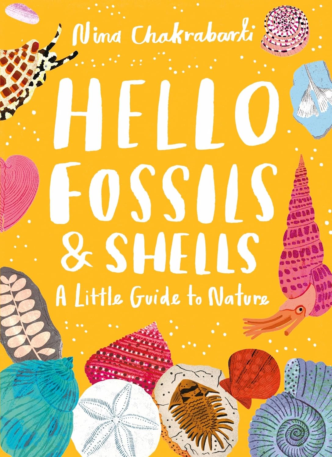 A Little Guides to Nature: Hello Fossils and Shells