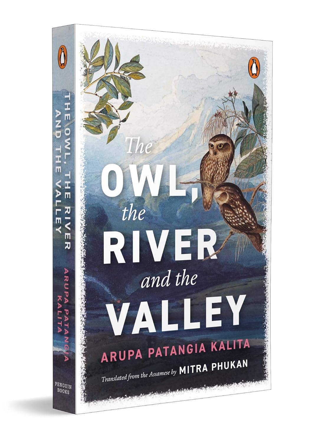 The Owl The River And The Valley