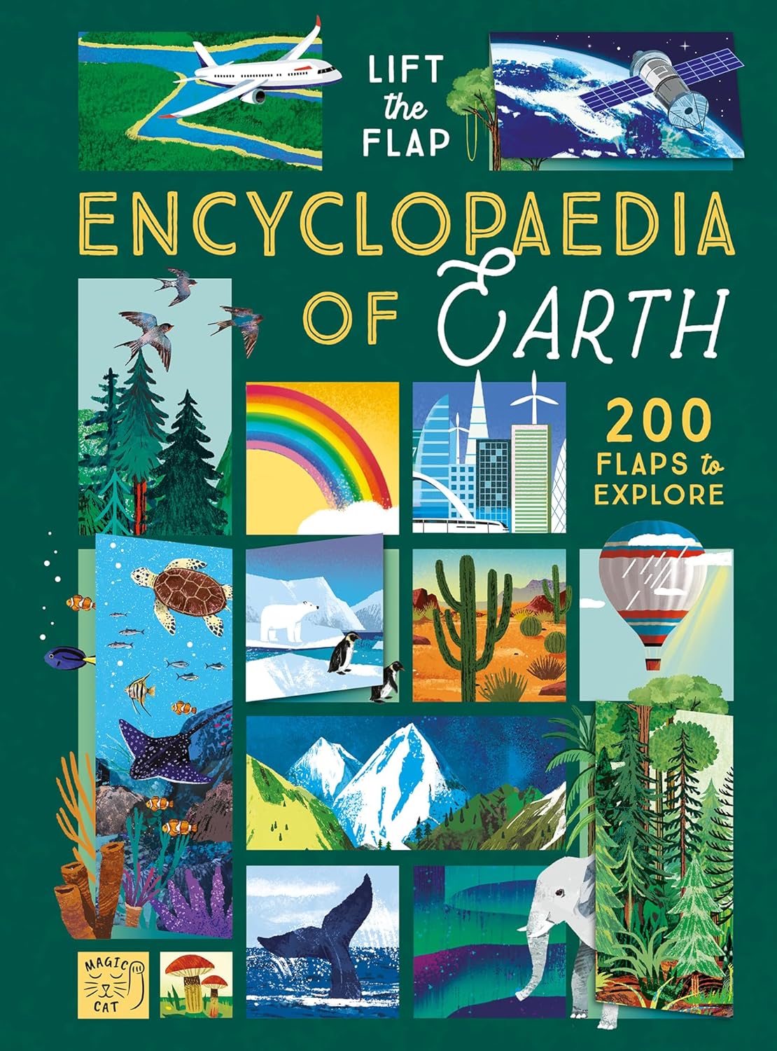 Lift-the-Flap Encyclopaedia of Earth