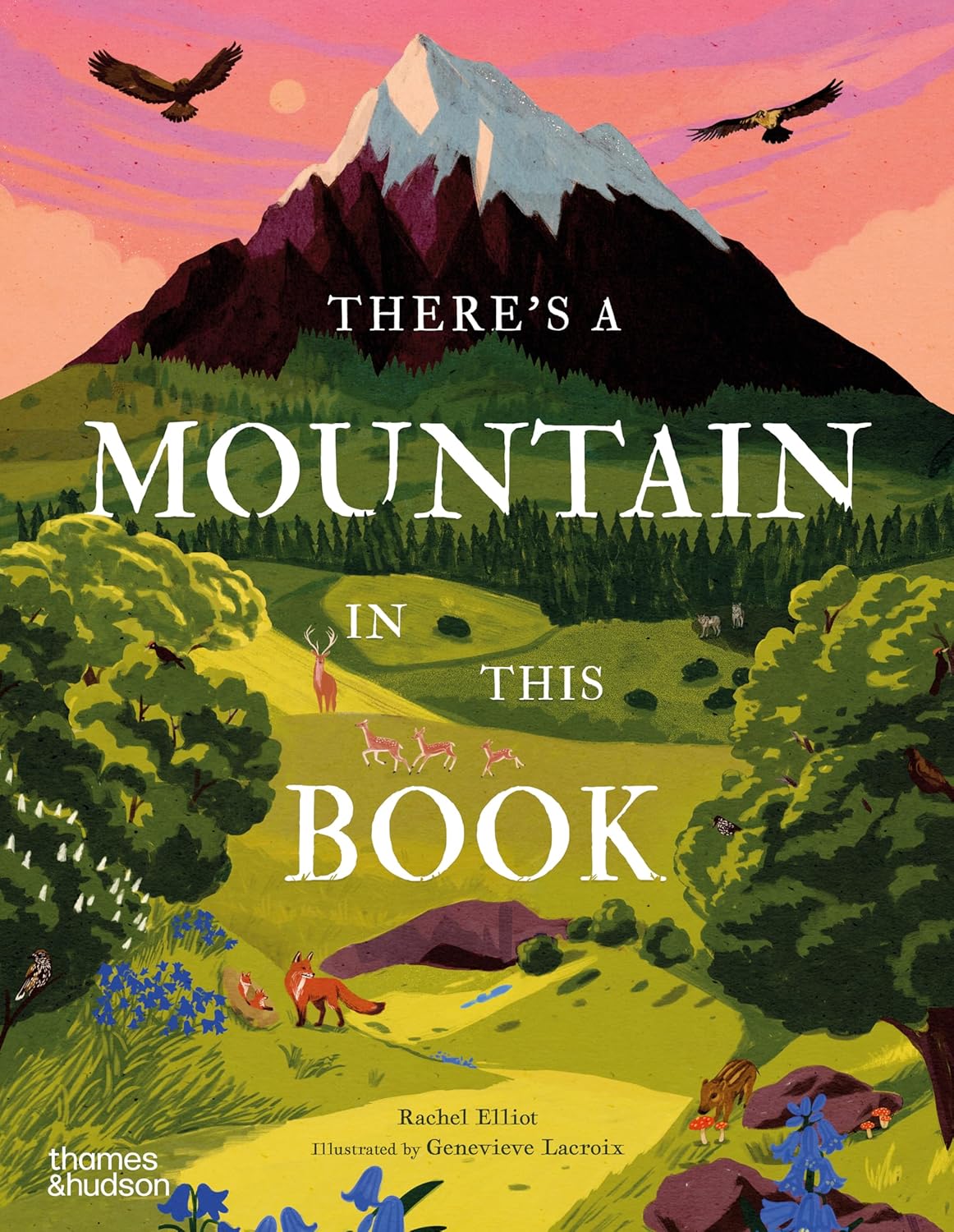 There's a Mountain in This Book